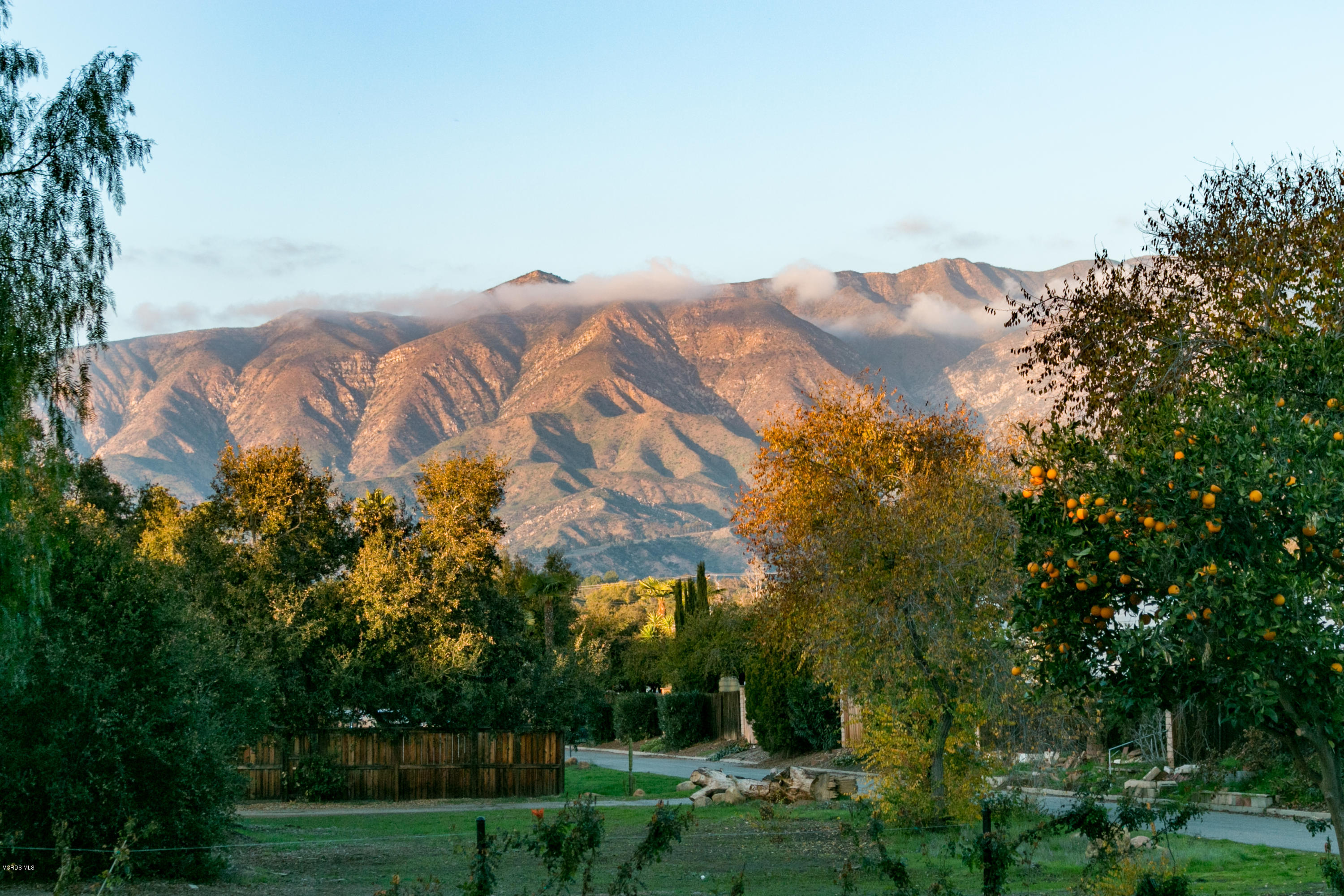 1694 South Rice Road Ojai, CA 93023 - Photo 35 of 37 1694 S Rice Rd-print-035-51-Mountain Vie
