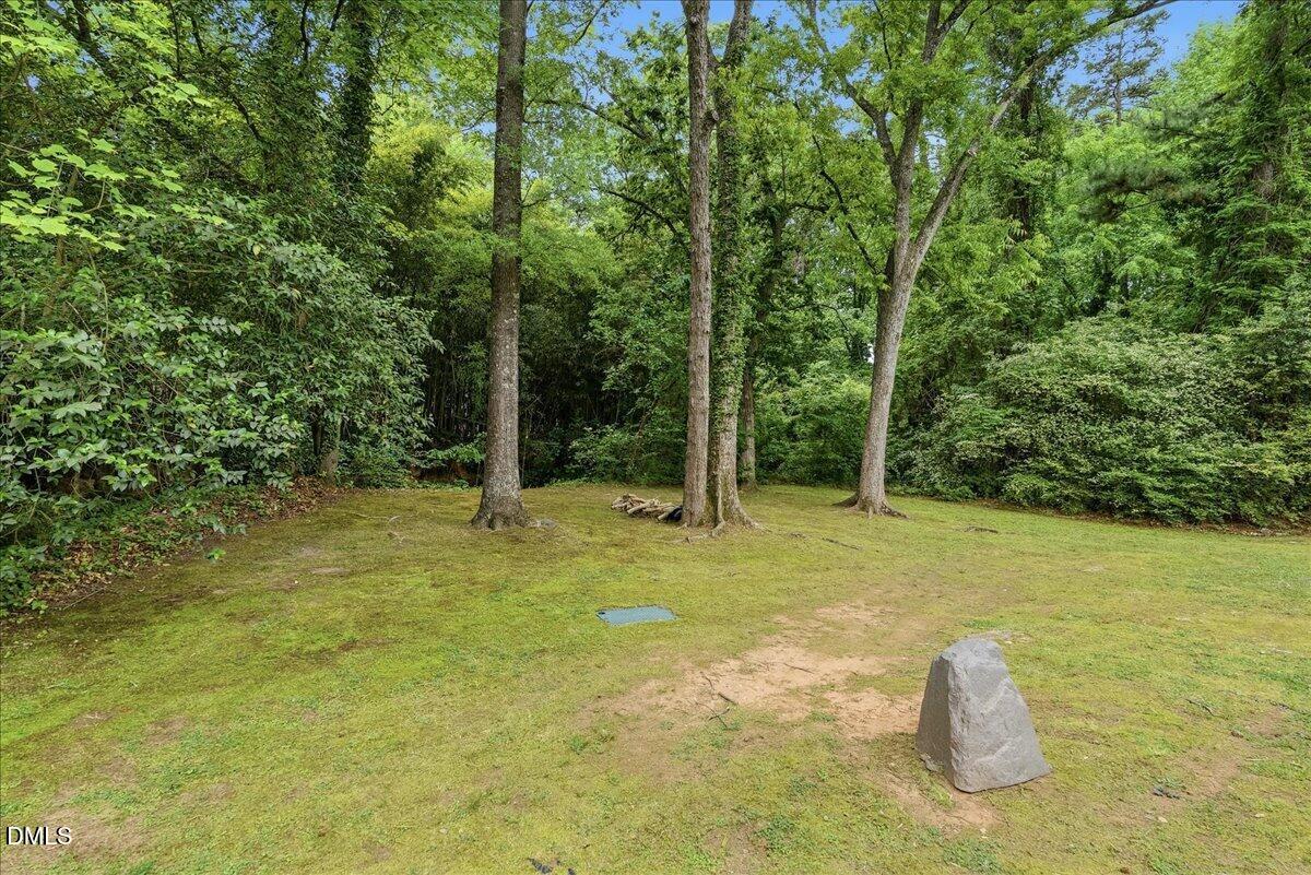 2834 Wayland Drive Raleigh, NC 27608 - Photo 21 of 26 a view of a field with trees