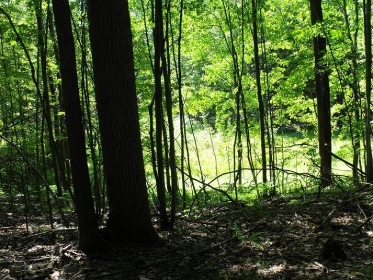 20 Mile Road Chippewa Lake, MI 49320 - Photo 12 of 17 Additional Photo