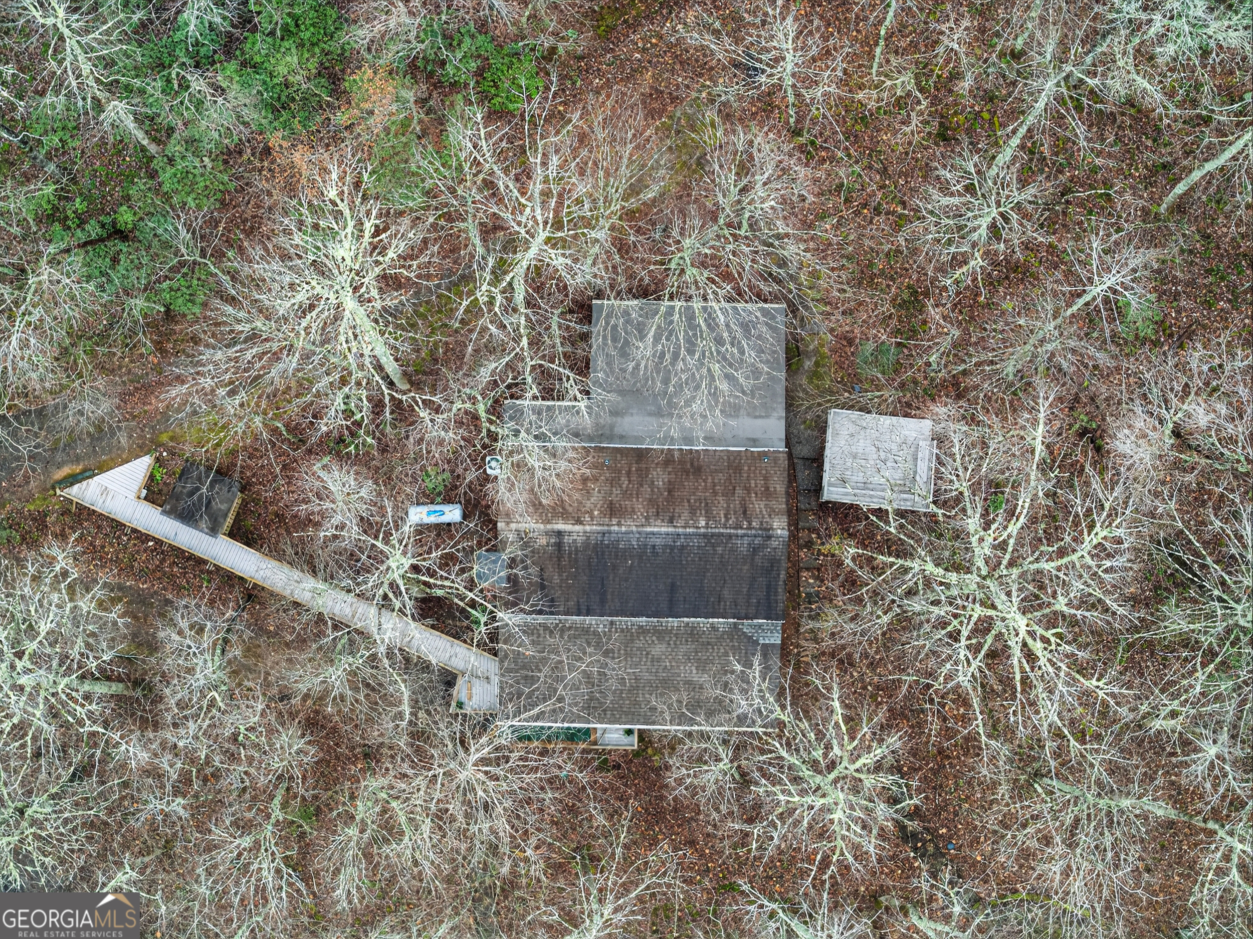 1165 Sparks Branch Road Hiawassee, GA 30546 - Photo 28 of 31 a picture of a tree