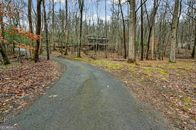 a view of a park with trees