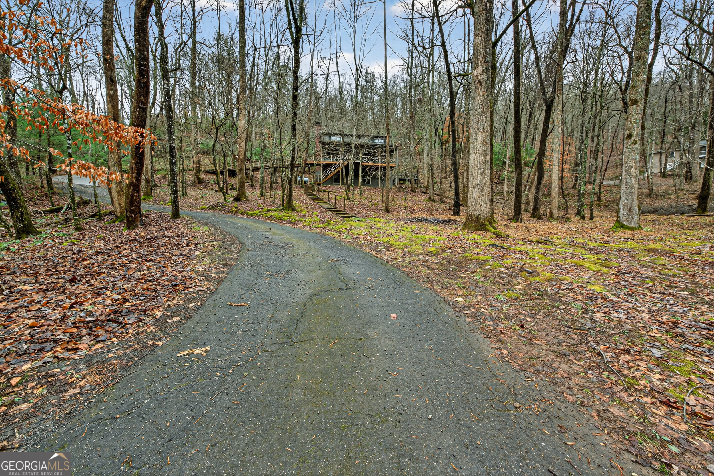 1165 Sparks Branch Road Hiawassee, GA 30546 - Photo 31 of 31 a view of a park with trees