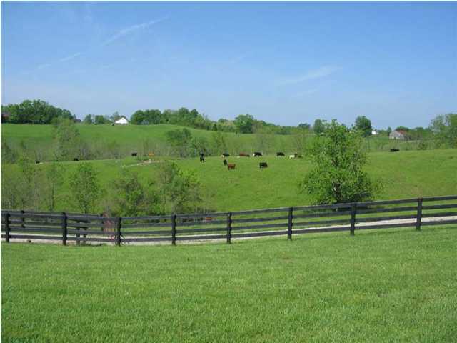 1681 Tract 2 Leathers Road Lawrenceburg, KY 40342 - Photo 1 of 15 Primary Photo