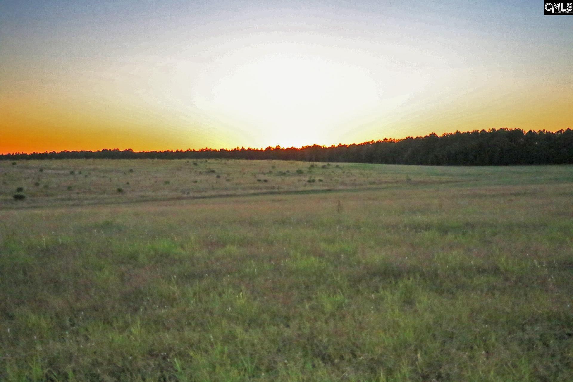 Tbd Browns Pond Road Wagener, SC 29164 - Photo 28 of 48