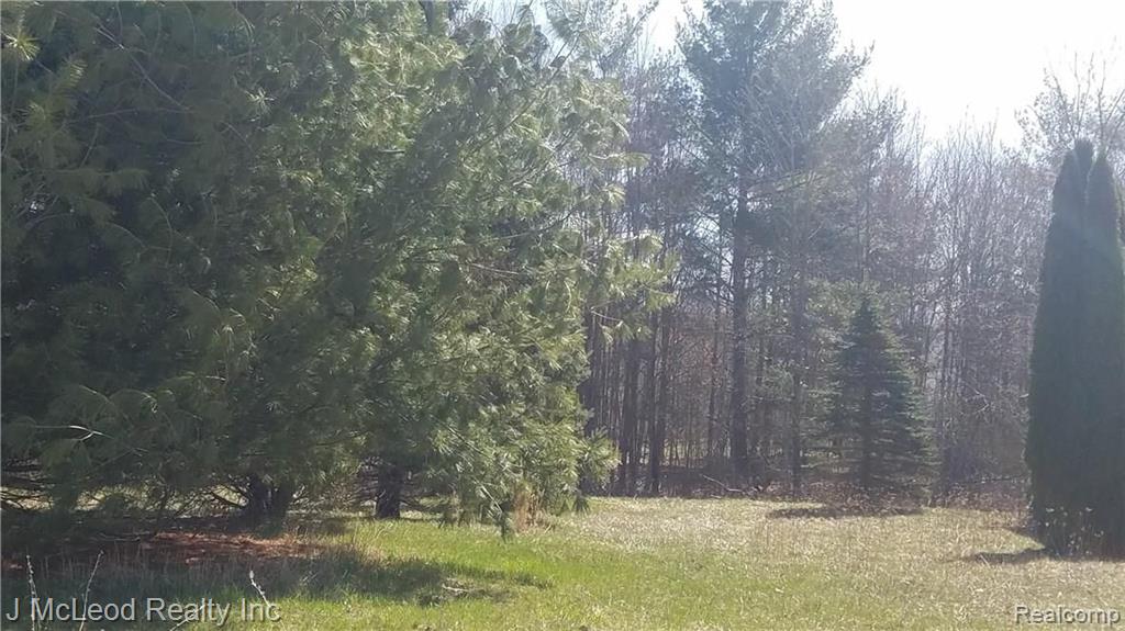 18-20 Duck Pond Road Millington, MI 48746 - Photo 2 of 9 Gallery Image 2