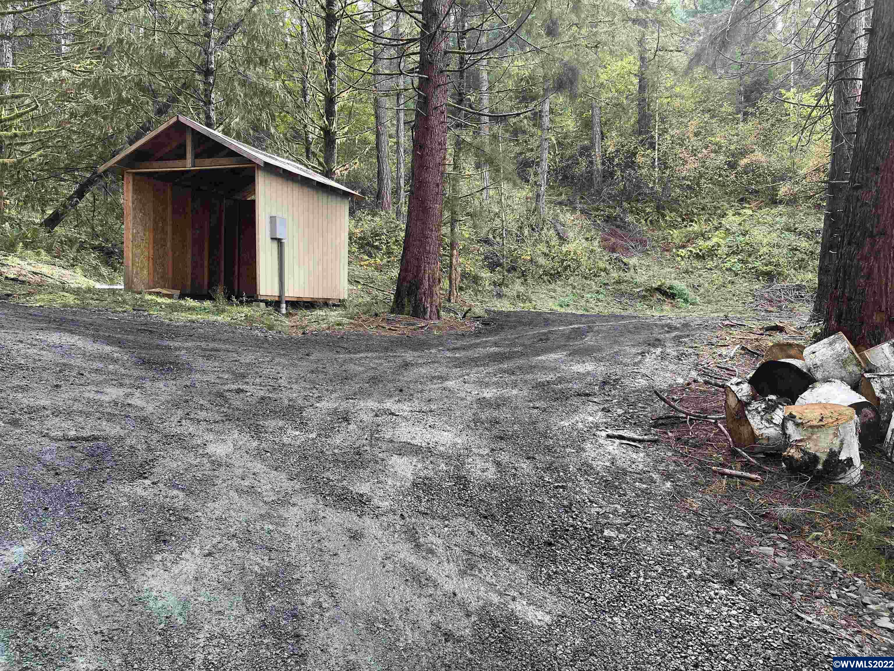 1883 Pioneer Road Dallas, OR 97338 - Photo 4 of 10 a dirt road with trees in the background