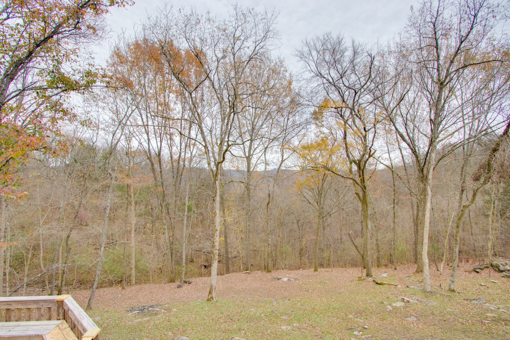 220 Turkey Creek Road Carthage, TN 37030 - Photo 38 of 50 Gallery Image 38