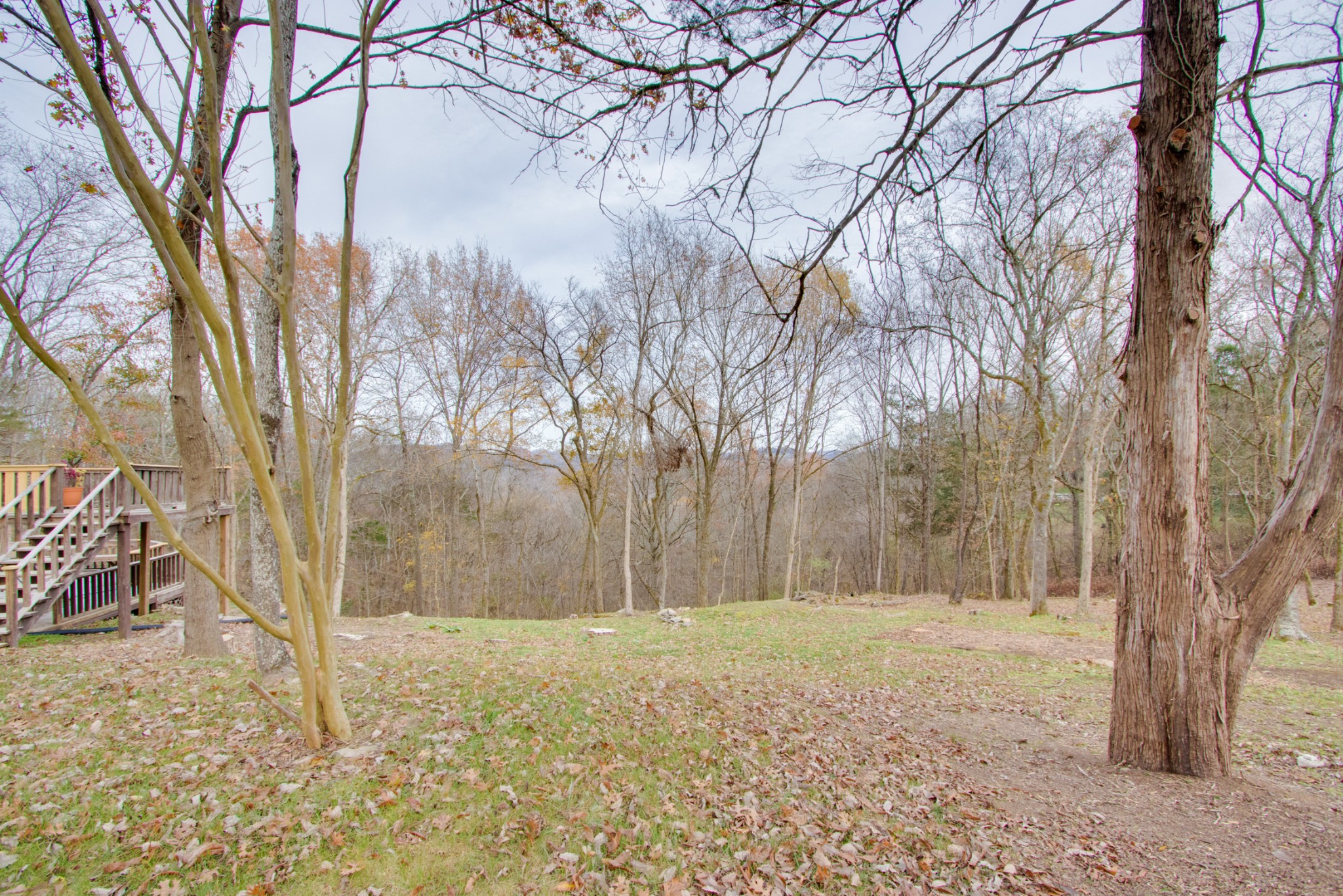 220 Turkey Creek Road Carthage, TN 37030 - Photo 39 of 50 Gallery Image 39
