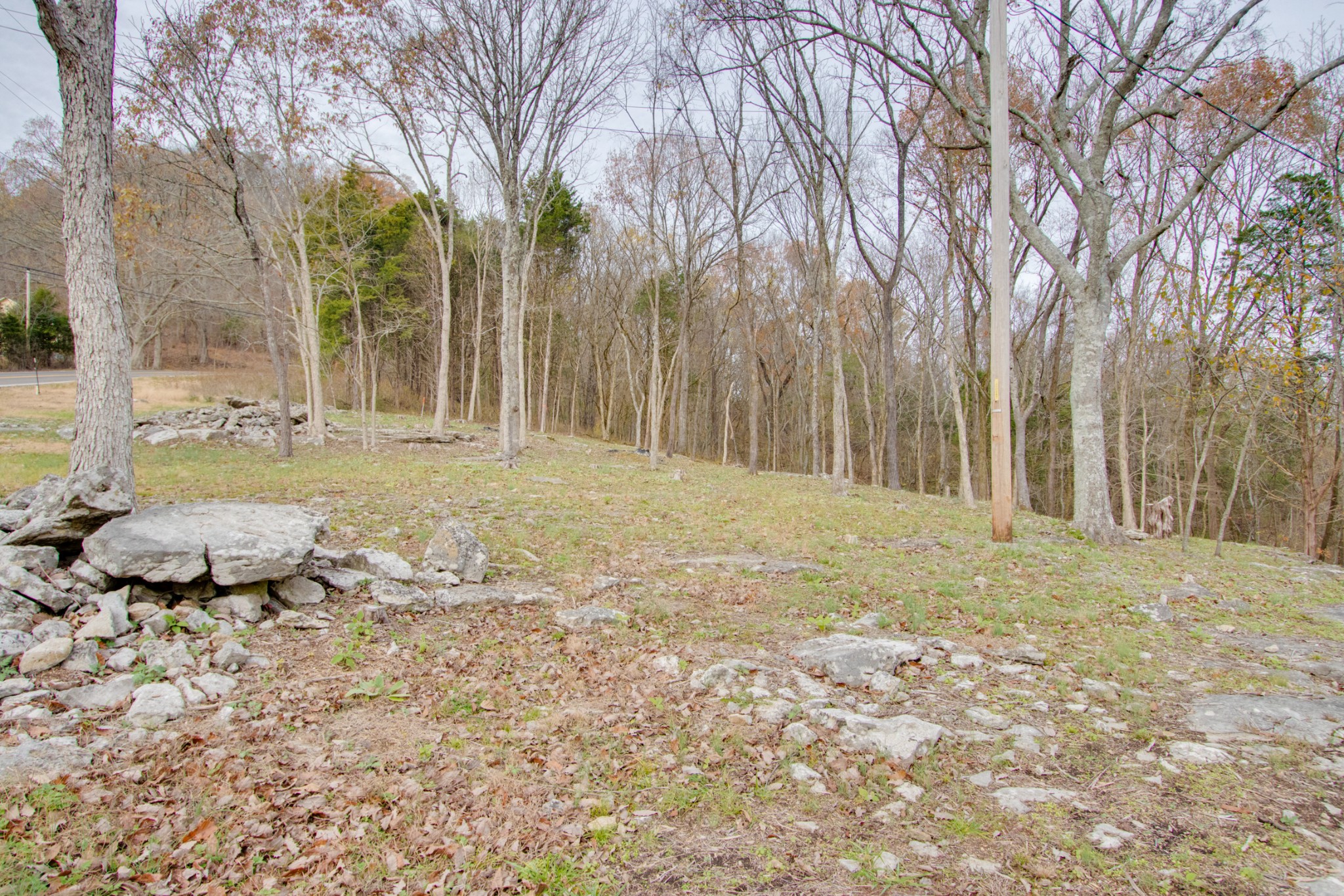 220 Turkey Creek Road Carthage, TN 37030 - Photo 40 of 50 Gallery Image 40