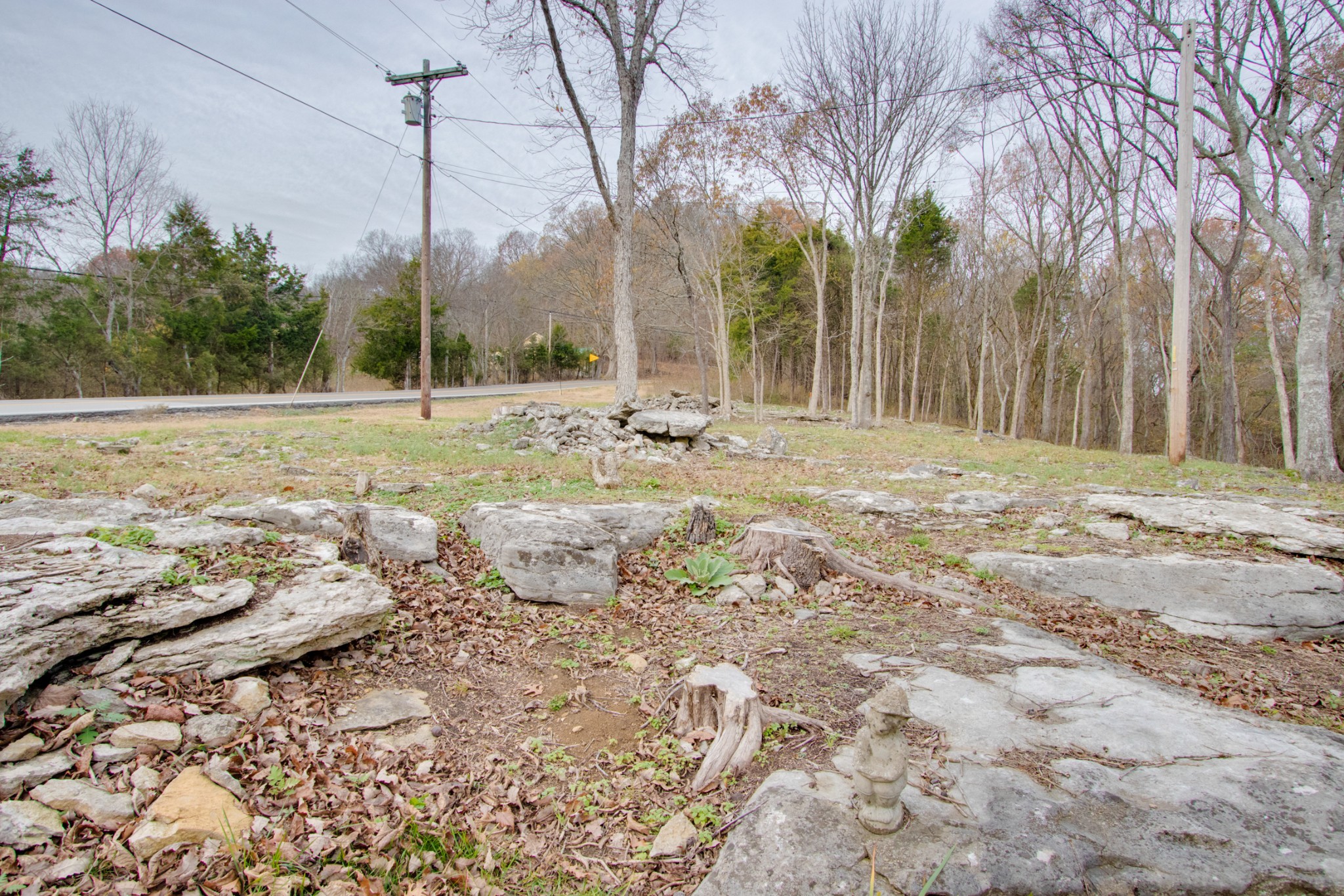 220 Turkey Creek Road Carthage, TN 37030 - Photo 41 of 50 Gallery Image 41