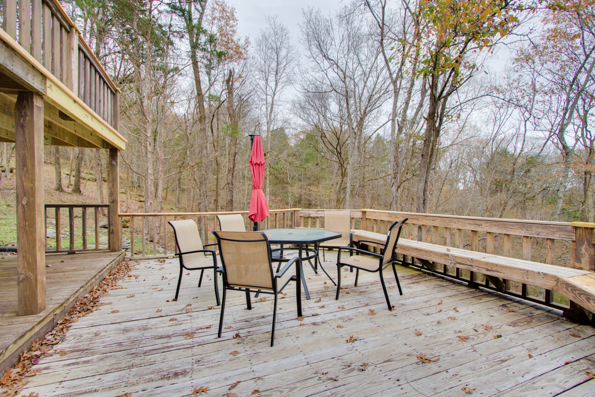 220 Turkey Creek Road Carthage, TN 37030 - Photo 6 of 50 Gallery Image 6