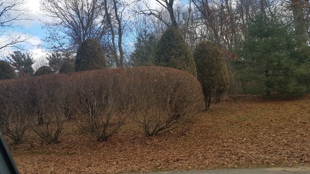 Lot 7 Joseph Road Mendon, MA 01756 - Photo 2 of 2 Gallery Image 2