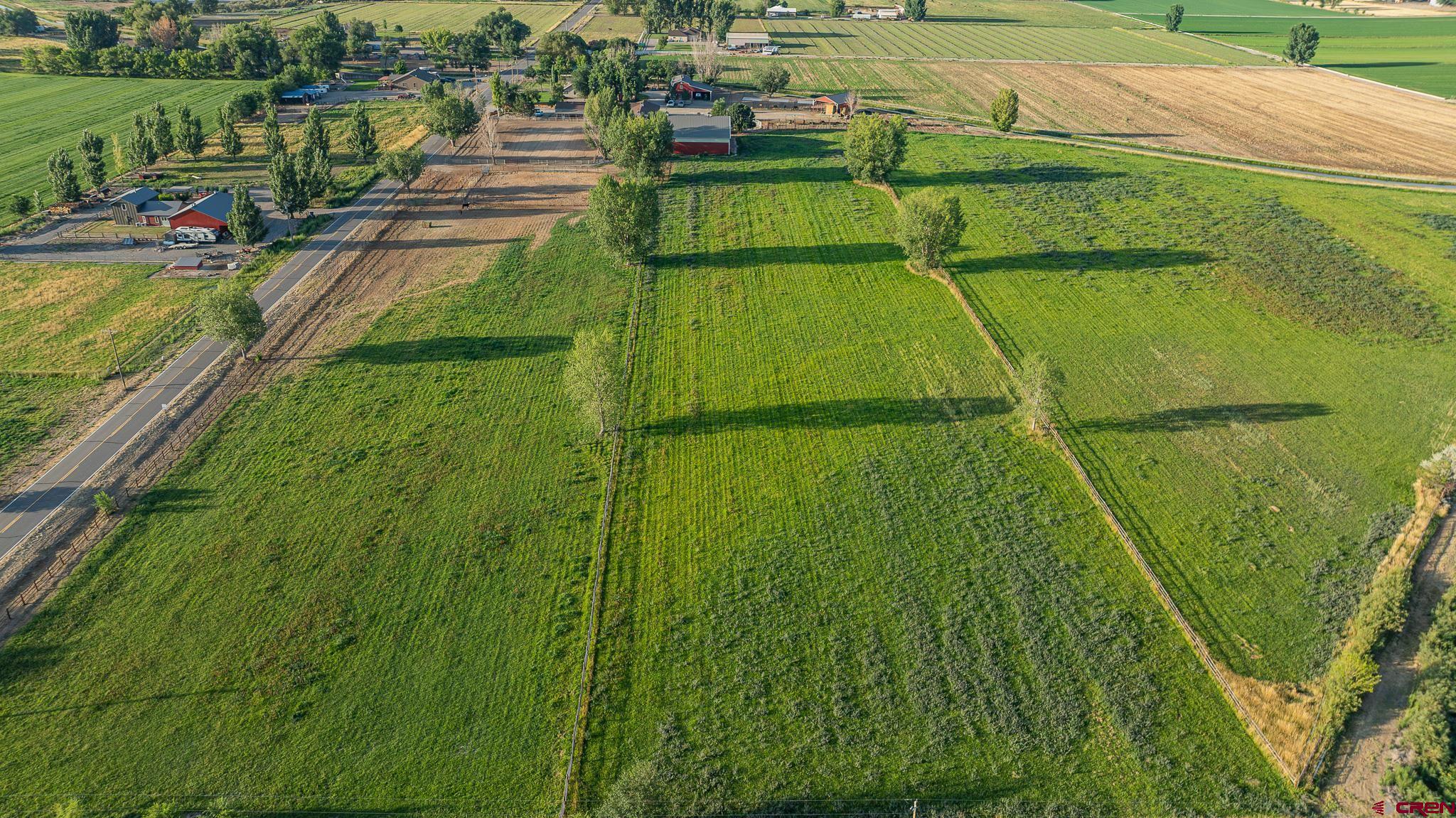 1577 14 1/2 Road Loma, CO 81524 - Photo 22 of 44 a green field with lots of tall trees