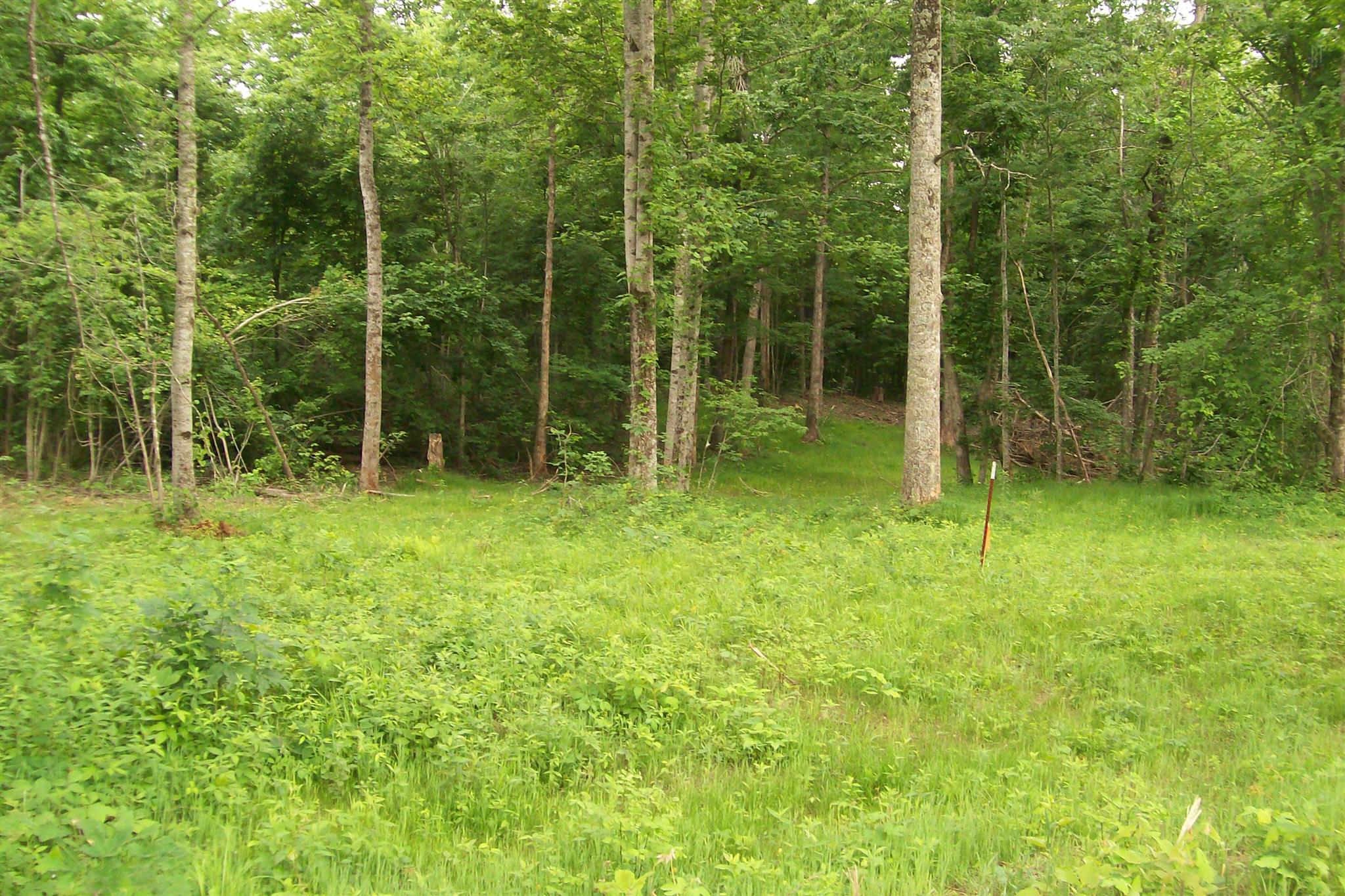 291 A East Ravenscroft Road Sparta, TN 38583 - Photo 3 of 5 Gallery Image 3
