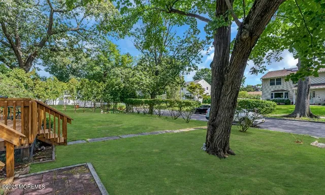 a view of a garden with a tree