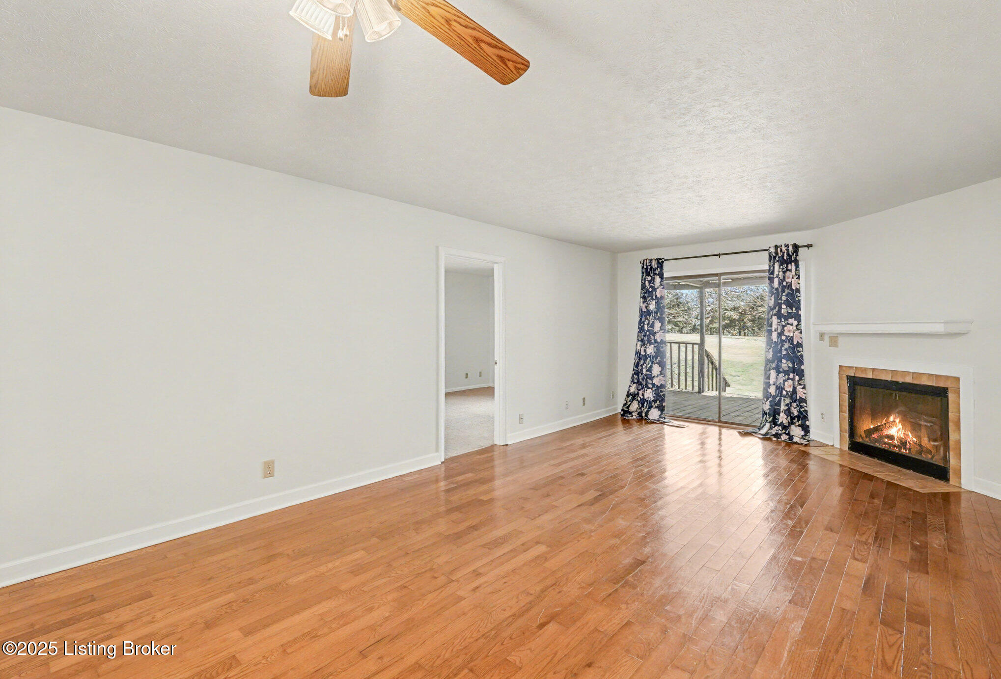 505 Piping Rock Road Brandenburg, KY 40108 - Photo 11 of 28 living room