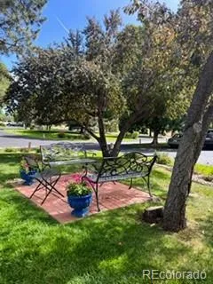 a view of a park with large trees