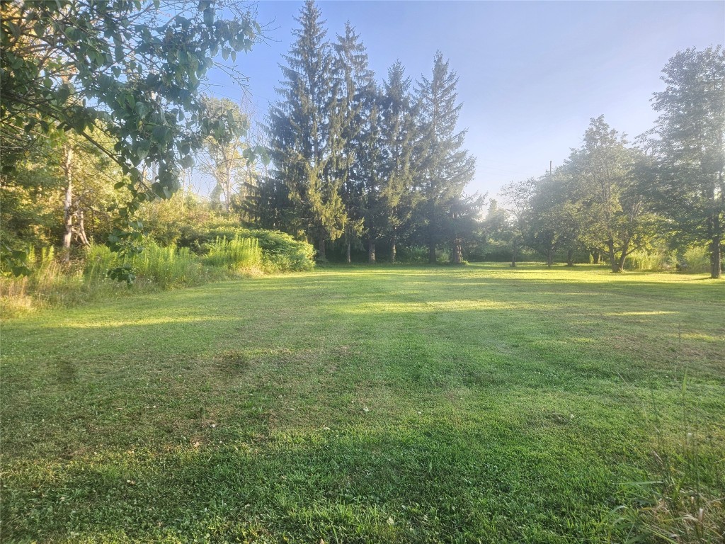 753 Candor Road Spencer, NY 14883 - Photo 18 of 20