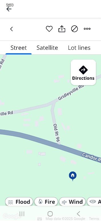 753 Candor Road Spencer, NY 14883 - Photo 20 of 20