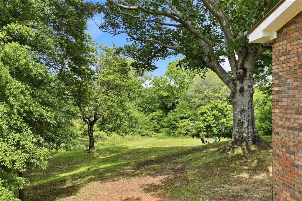 174 Old Ballground Road Canton, GA 30115 - Photo 39 of 44