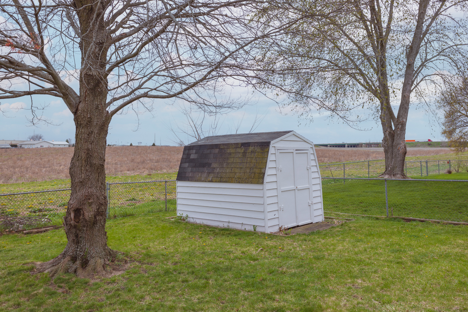 1805 Widermere Drive Normal, IL 61761 - Photo 37 of 46 a view of a backyard with large trees