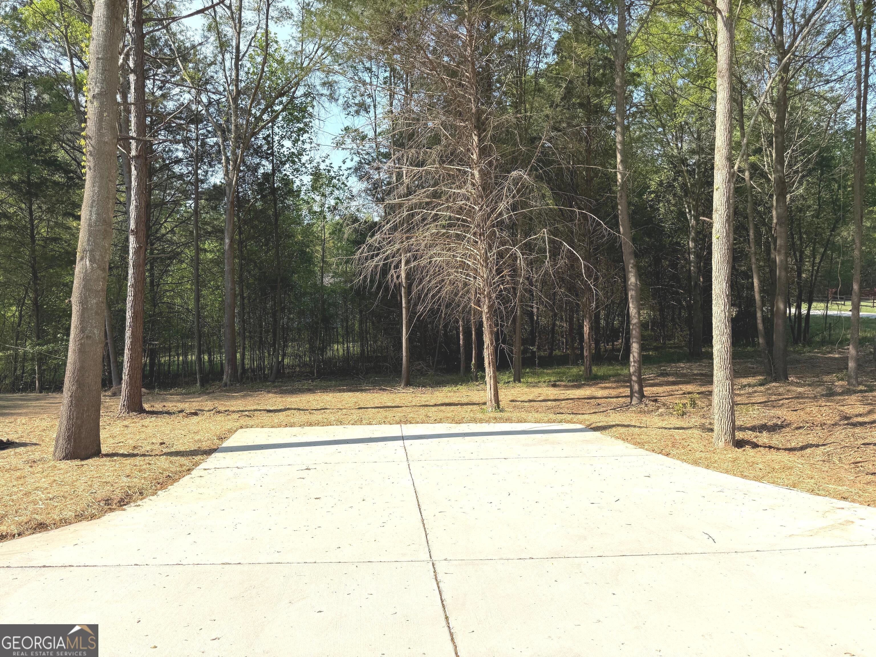 921 Silver Dollar Road Maysville, GA 30558 - Photo 18 of 23