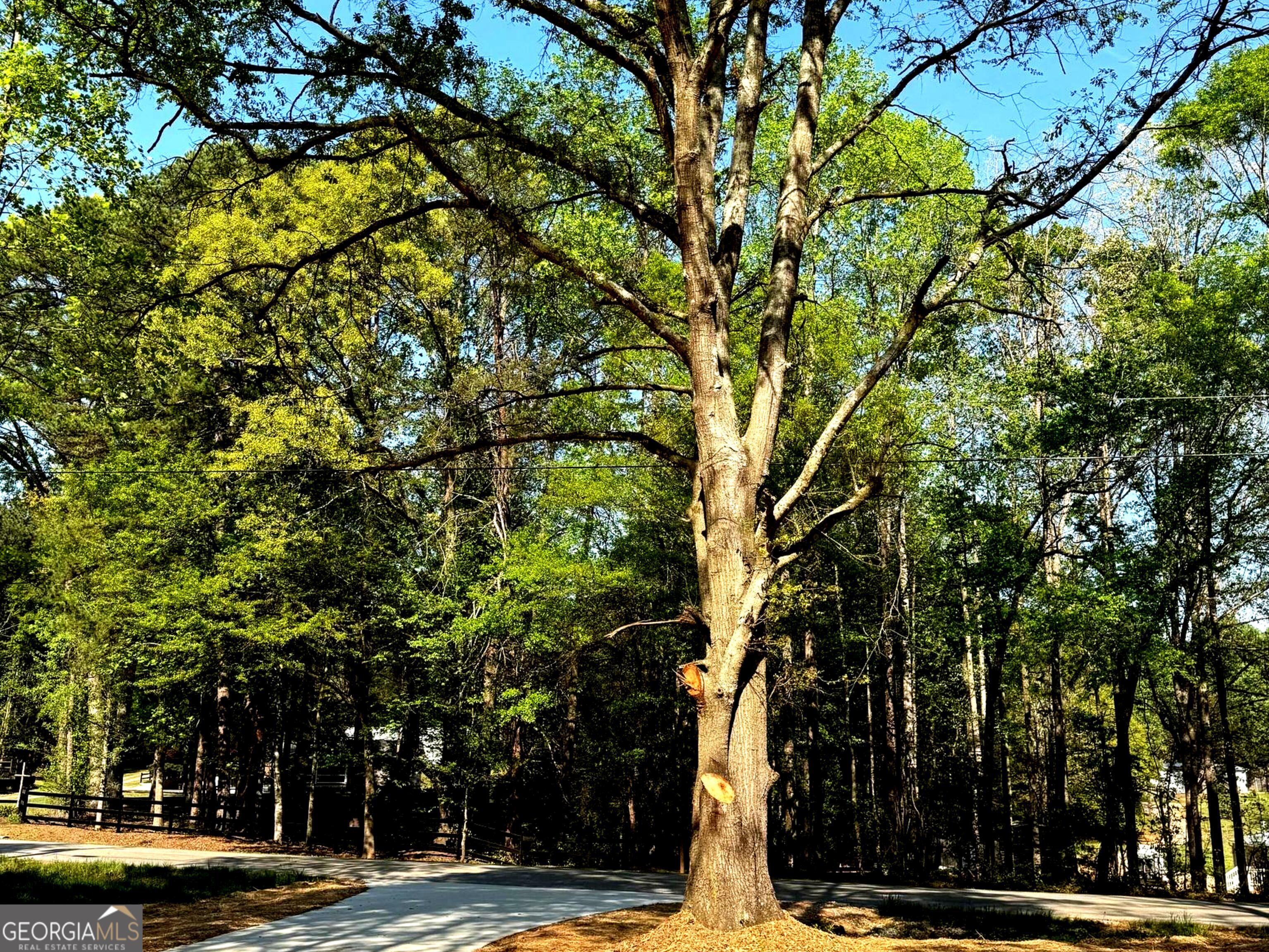 921 Silver Dollar Road Maysville, GA 30558 - Photo 20 of 23