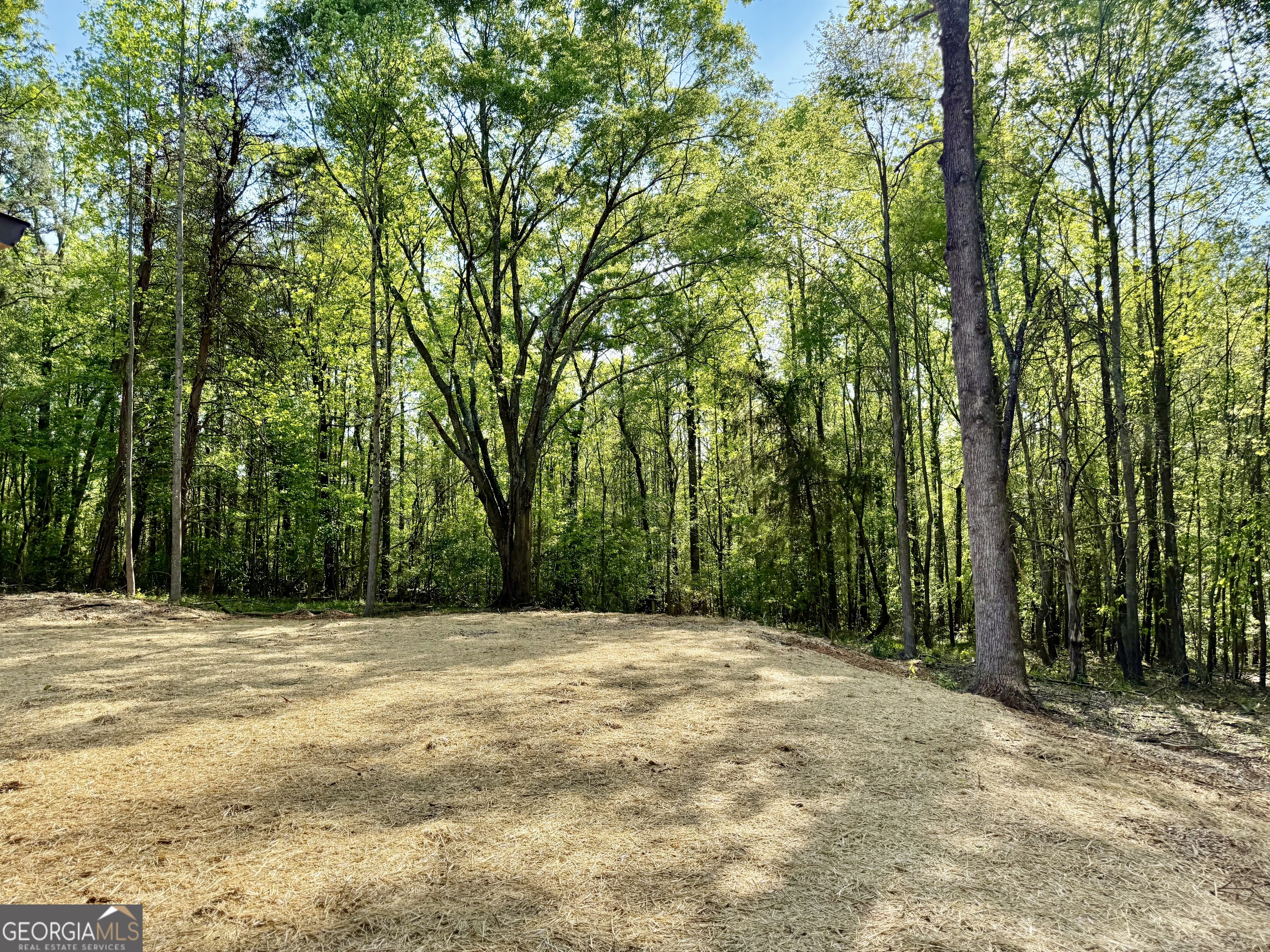 921 Silver Dollar Road Maysville, GA 30558 - Photo 21 of 23