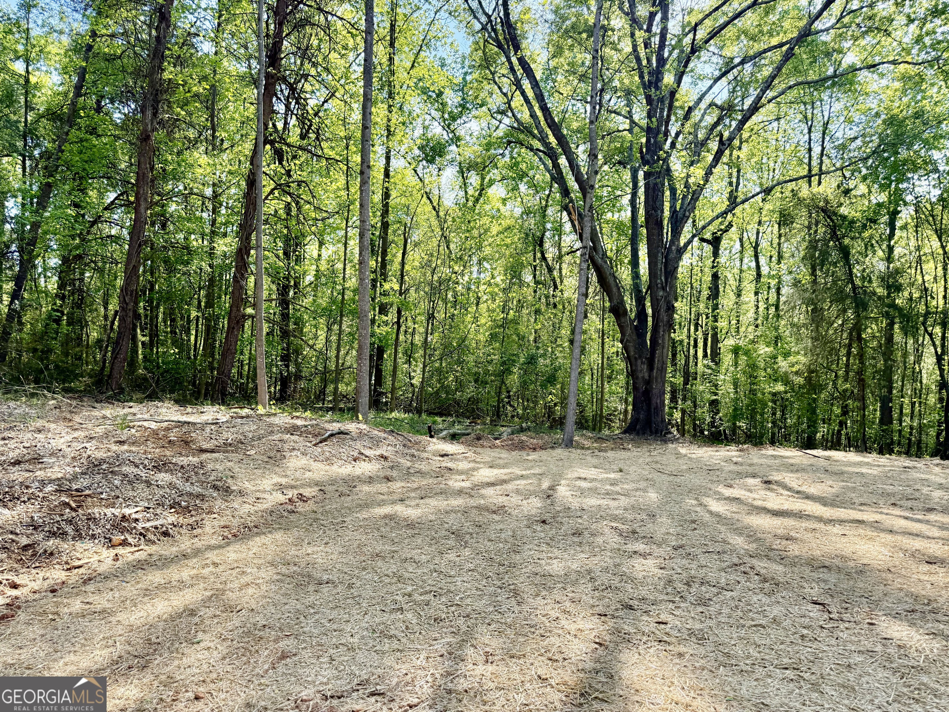 921 Silver Dollar Road Maysville, GA 30558 - Photo 22 of 23