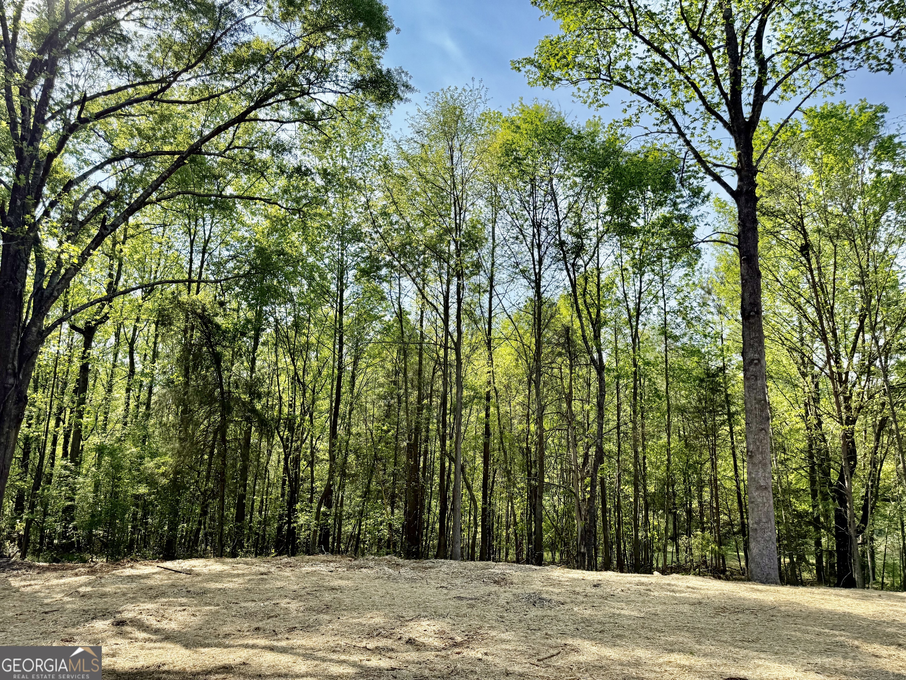 921 Silver Dollar Road Maysville, GA 30558 - Photo 23 of 23