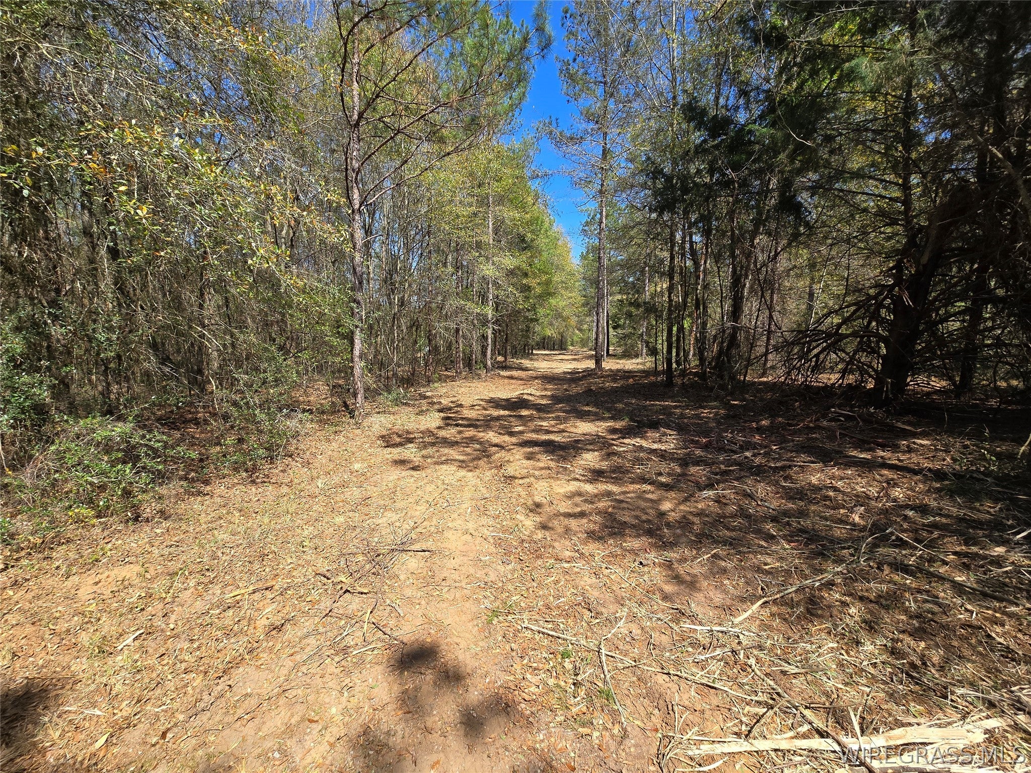 0 Will Logan Road Ozark, AL 36360 - Photo 33 of 44 Gallery Image 33