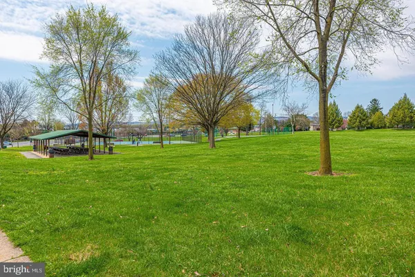 a view of a park with large trees