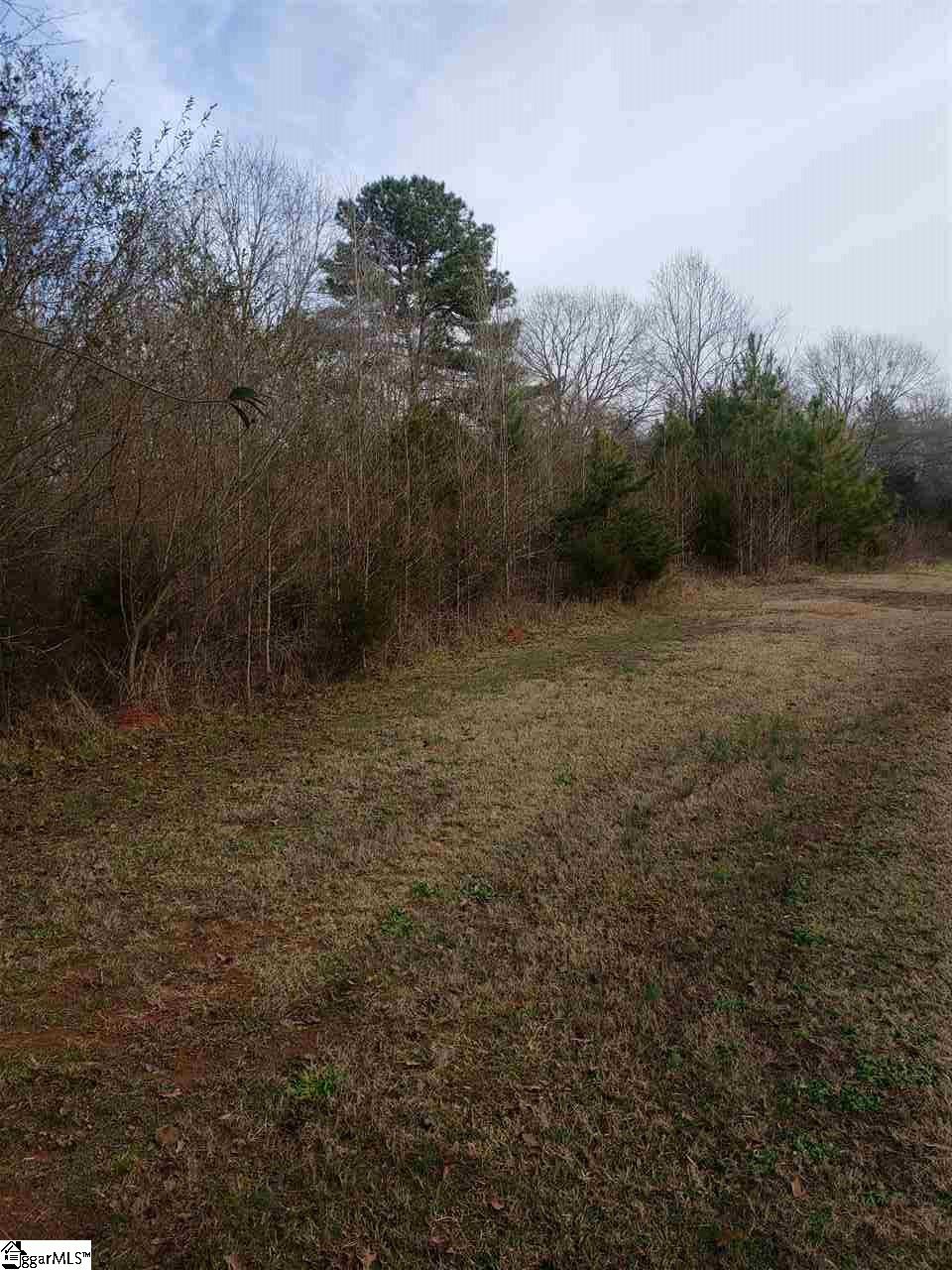 0 Reedy Fork Road Piedmont, SC 29673 - Photo 1 of 3