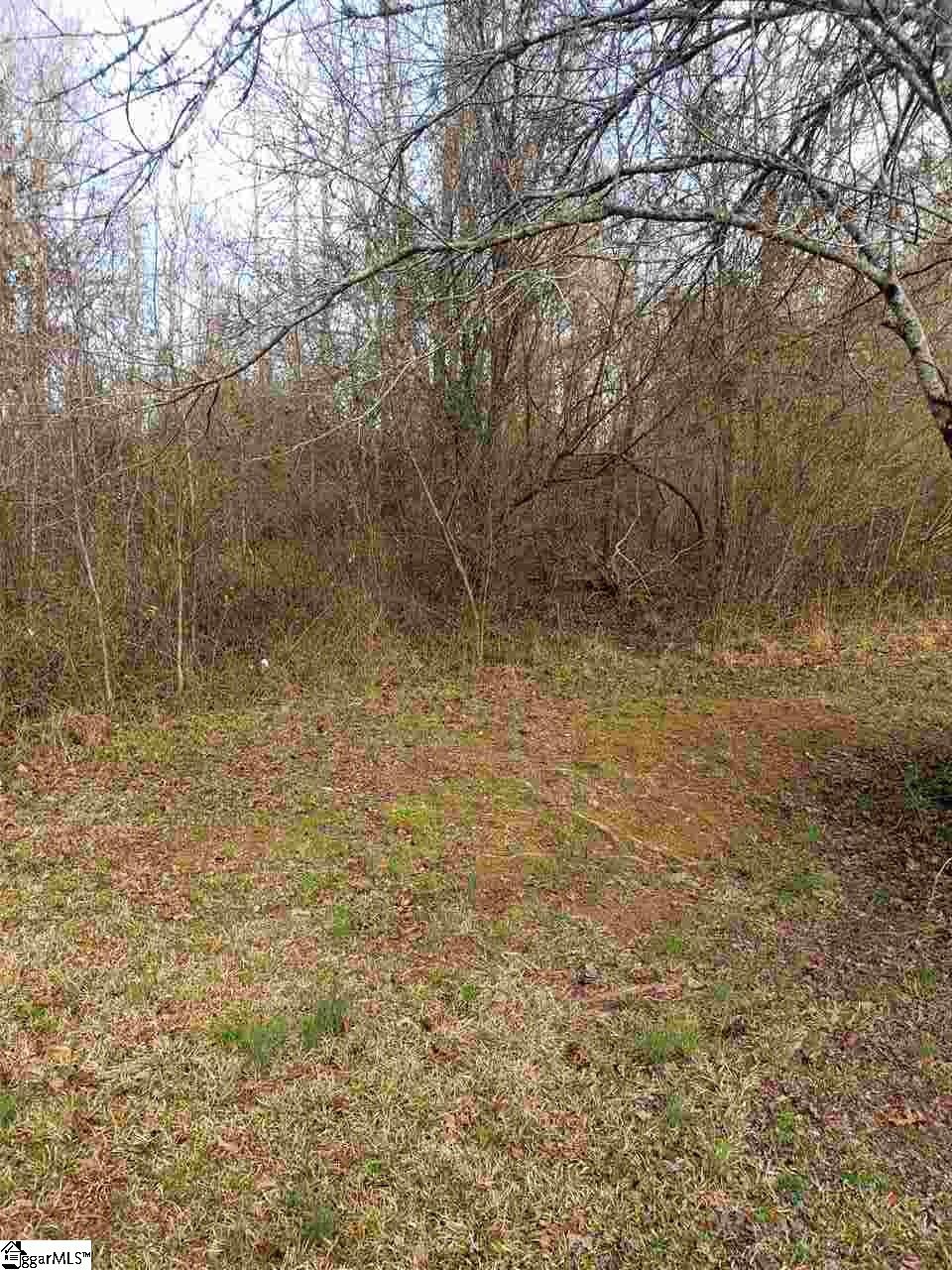 0 Reedy Fork Road Piedmont, SC 29673 - Photo 2 of 3
