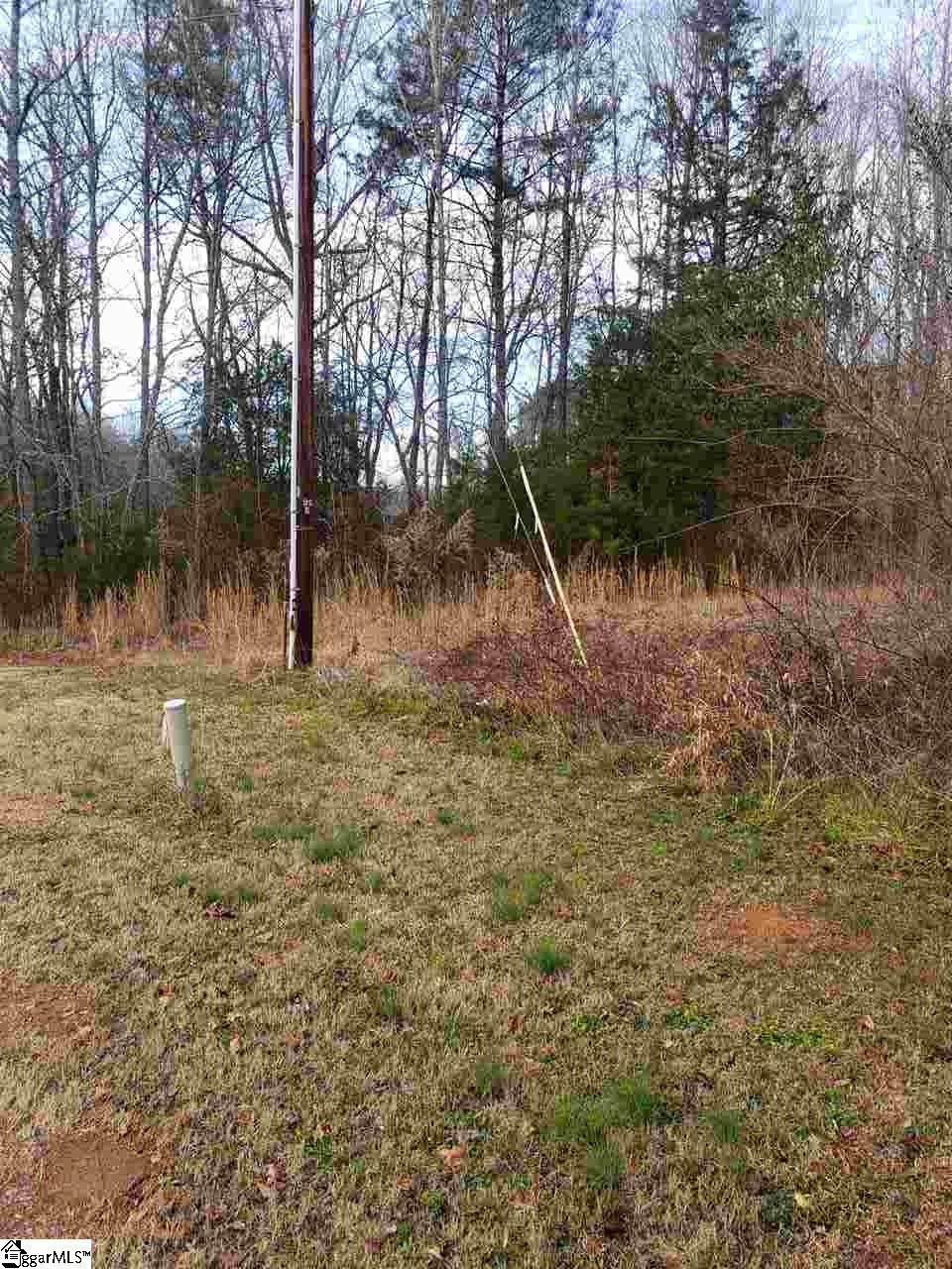 0 Reedy Fork Road Piedmont, SC 29673 - Photo 3 of 3