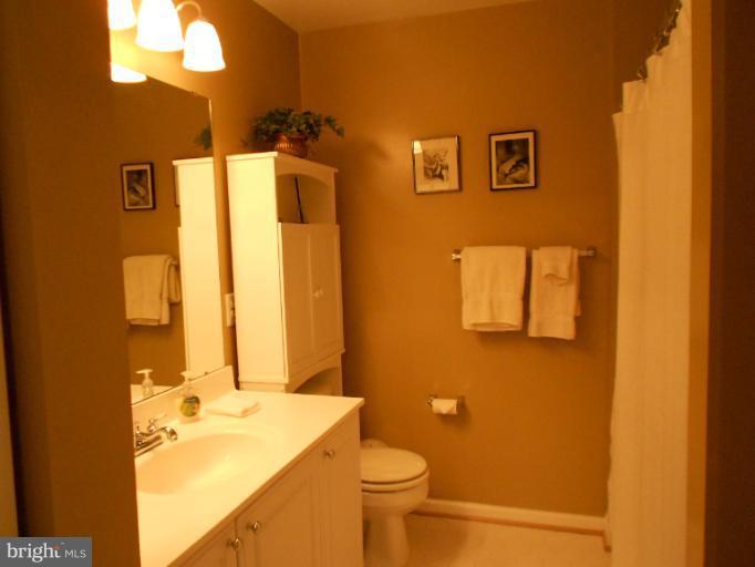 906 Rolfe Place Alexandria, VA 22314 - Photo 17 of 19 Bath