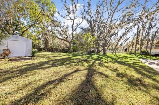 a view of a field with trees in the background