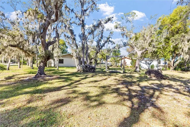 a view of street with large trees