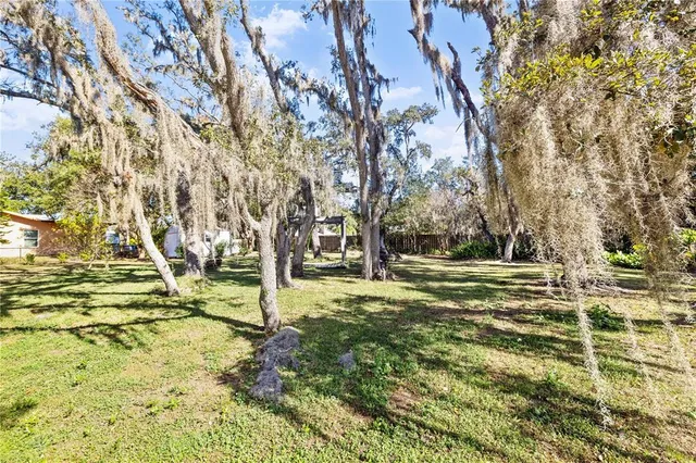 a view of park space with large trees