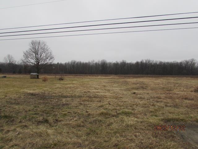 Tbd East Pickard Road, Unit LOT #2 Mount Pleasant, MI 48858 - Photo 1 of 7