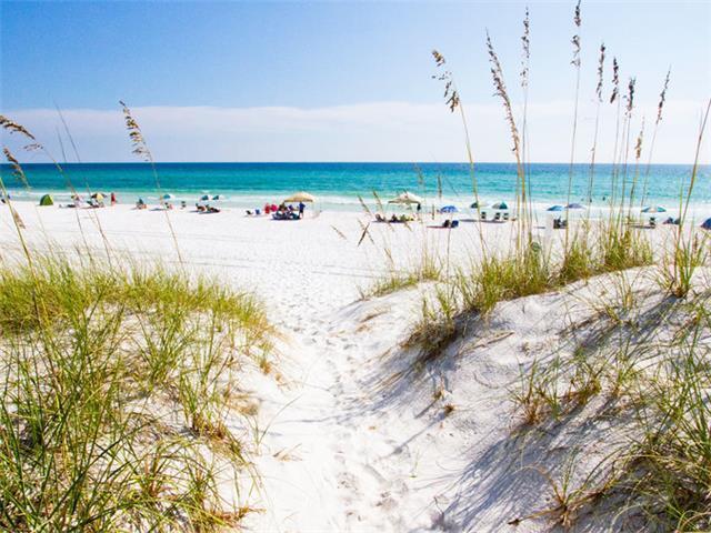 138 East E Pine, Unit A Inlet Beach, FL 32461 - Photo 46 of 48 a view of a yard