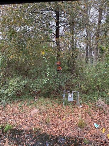 45149 Obee Stevens Road Robert, LA 70455 - Photo 3 of 5 Gallery Image 3