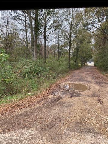 45149 Obee Stevens Road Robert, LA 70455 - Photo 4 of 5 Gallery Image 4