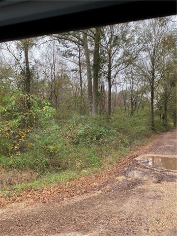 45149 Obee Stevens Road Robert, LA 70455 - Photo 5 of 5 Gallery Image 5