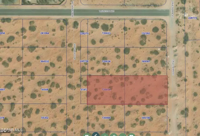 a bathroom with a shower curtain