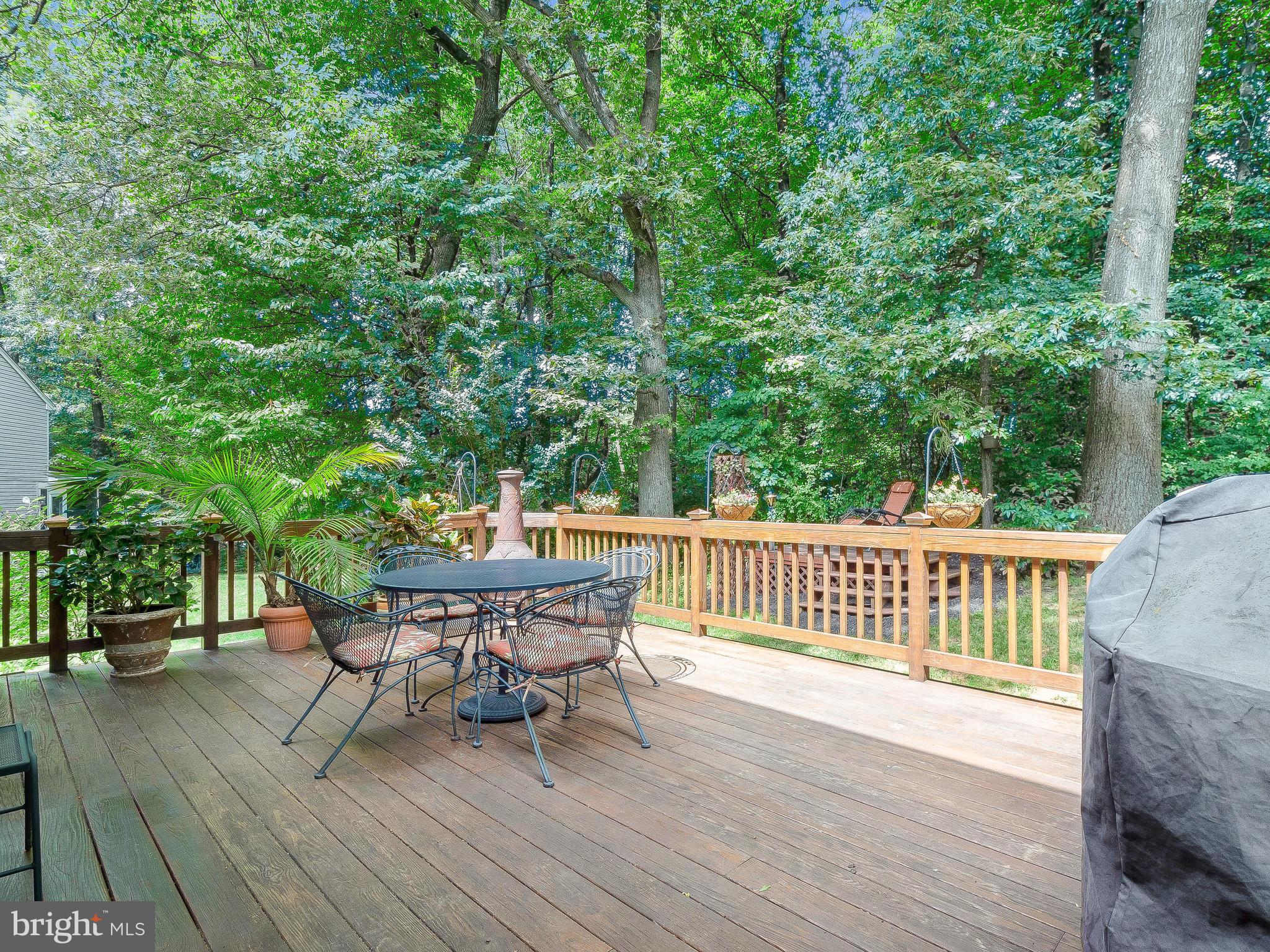 9471 Ridgeview Drive Columbia, MD 21046 - Photo 28 of 30 Deck area is perfect for entertaining or relaxing
