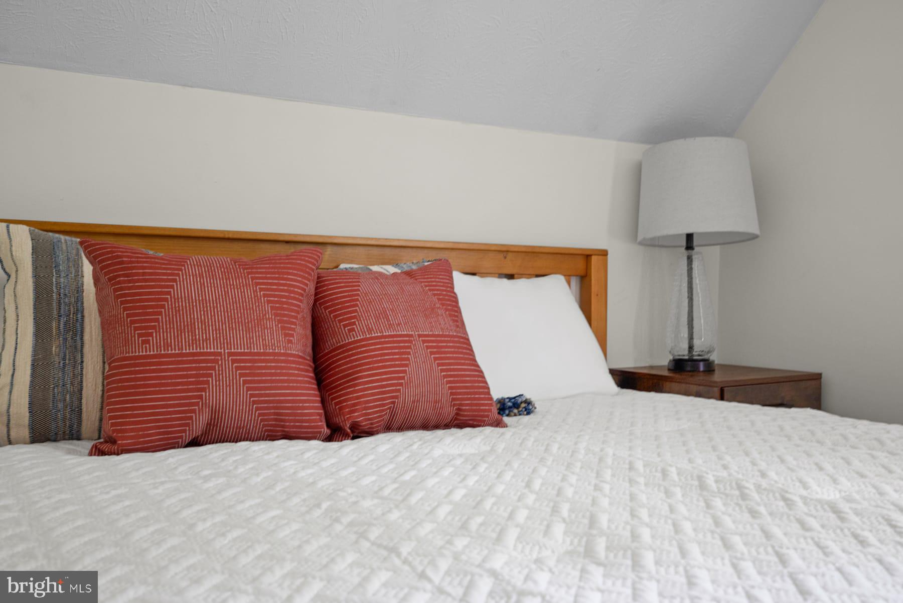 203 Beech Road Mount Jackson, VA 22842 - Photo 17 of 29