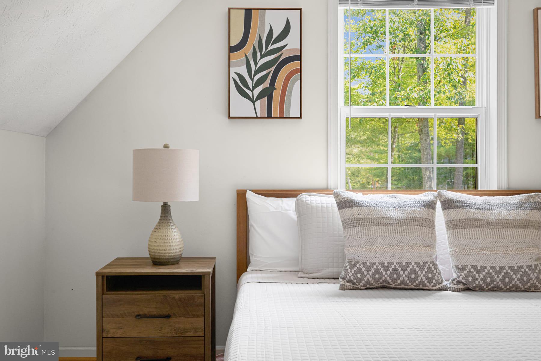 203 Beech Road Mount Jackson, VA 22842 - Photo 22 of 29