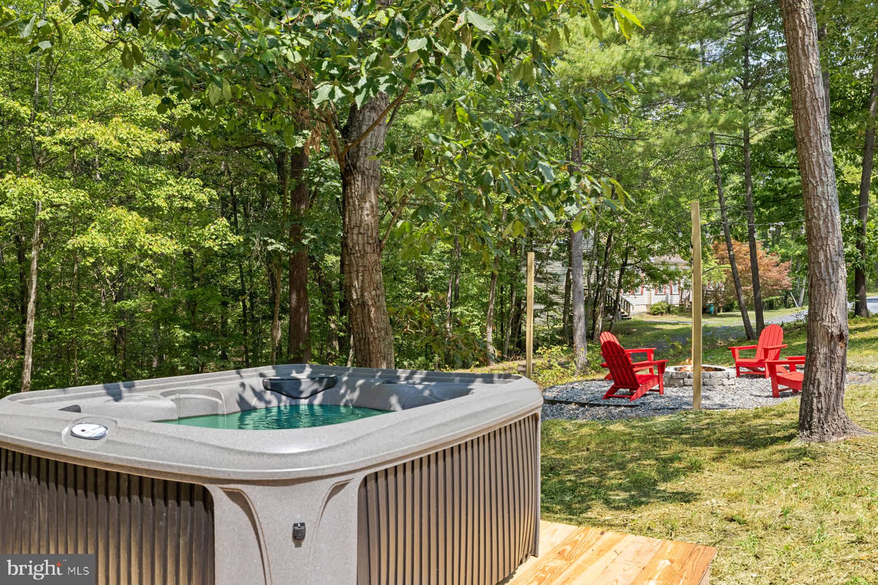 203 Beech Road Mount Jackson, VA 22842 - Photo 3 of 29