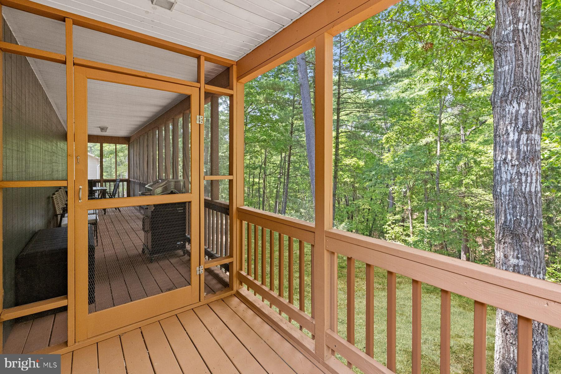 203 Beech Road Mount Jackson, VA 22842 - Photo 6 of 29